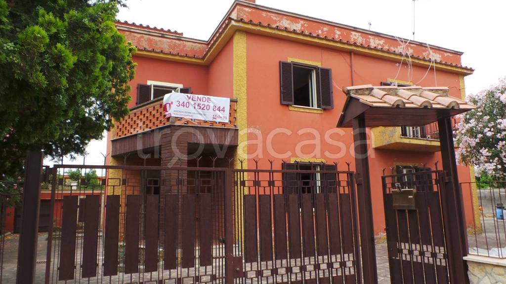 casa indipendente in vendita ad Ardea in zona Nuova Florida