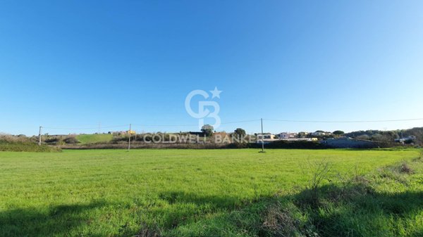 terreno agricolo in vendita ad Ardea in zona Castagnetta