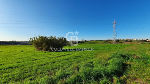 terreno agricolo in vendita ad Ardea in zona Castagnetta