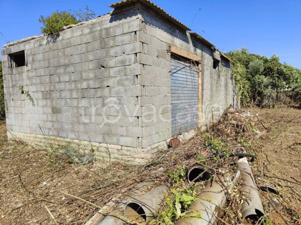 terreno agricolo in vendita ad Ardea