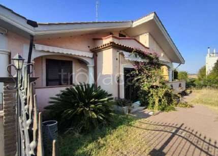 casa indipendente in vendita ad Ardea in zona Nuova California