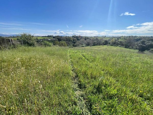 terreno agricolo in vendita ad Ardea in zona Montagnano