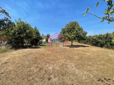 casa indipendente in vendita ad Ardea in zona Banditella