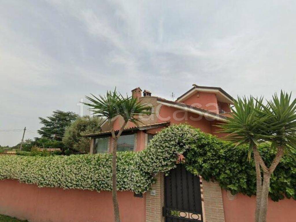 casa indipendente in vendita ad Ardea in zona Nuova Florida