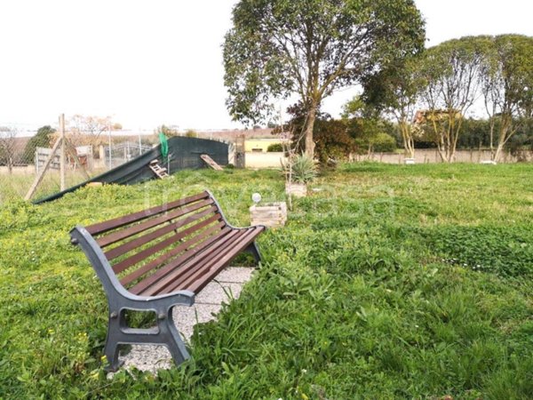 terreno agricolo in vendita ad Ardea in zona Montagnano
