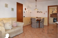 immagine annuncio 0 di 8