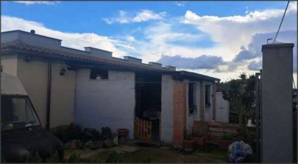 esavano in vendita ad Ardea in zona Villaggio Ardeatino
