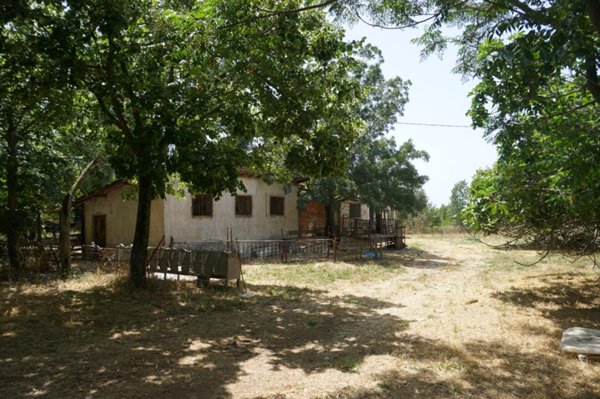 negozio in vendita ad Ardea in zona Castagnetta