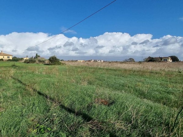 terreno agricolo in vendita ad Ardea in zona Banditella