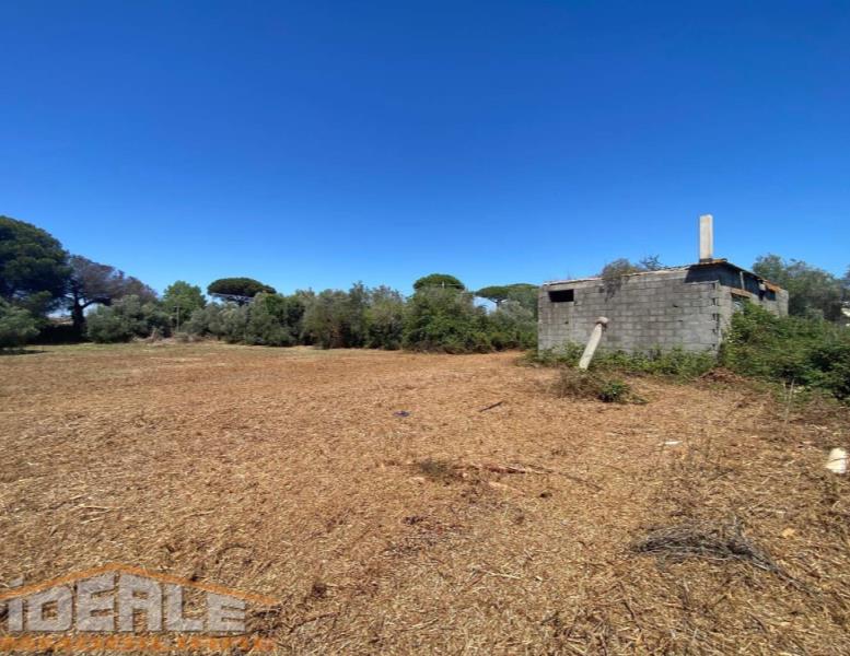 casa indipendente in vendita ad Ardea