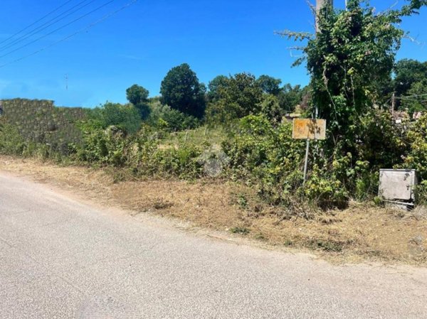 terreno agricolo in vendita ad Ardea in zona Banditella