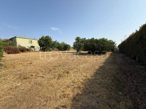 terreno agricolo in vendita ad Ardea in zona Castagnetta