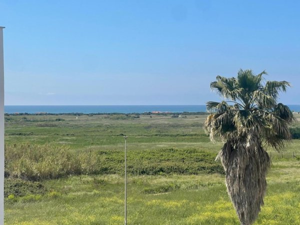 appartamento in vendita ad Ardea in zona Nuova California