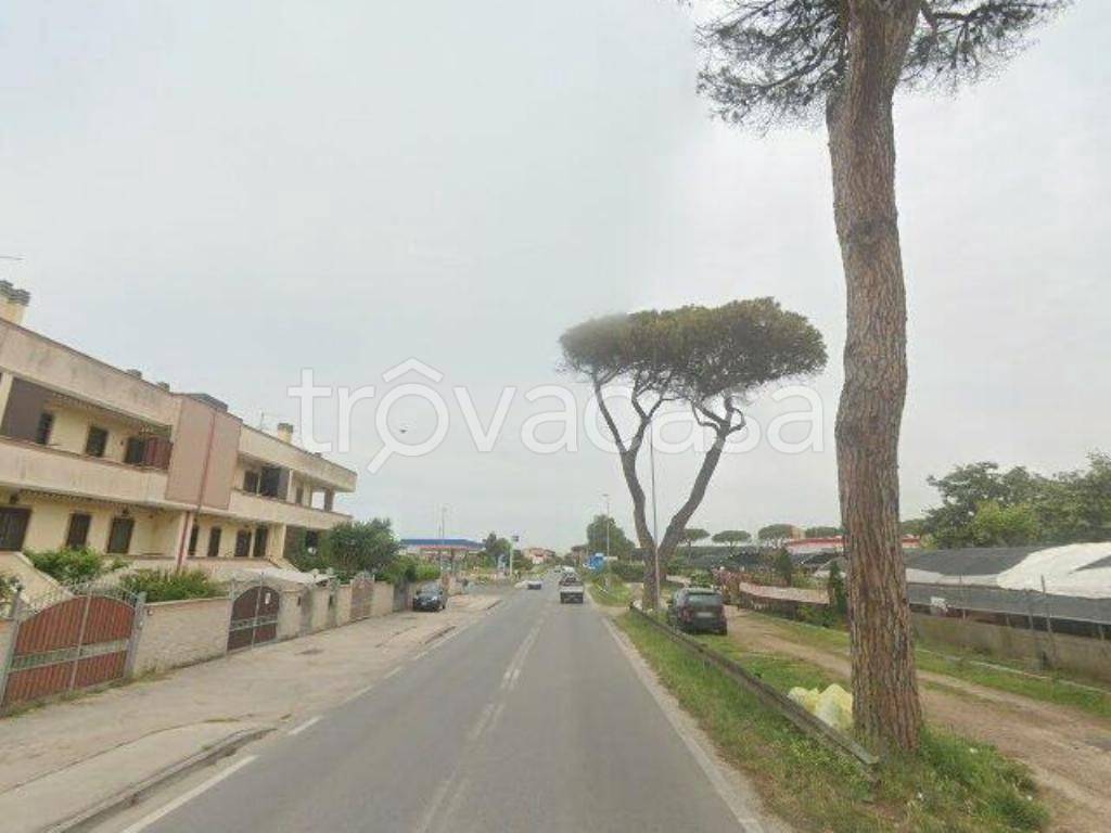 negozio in vendita ad Ardea
