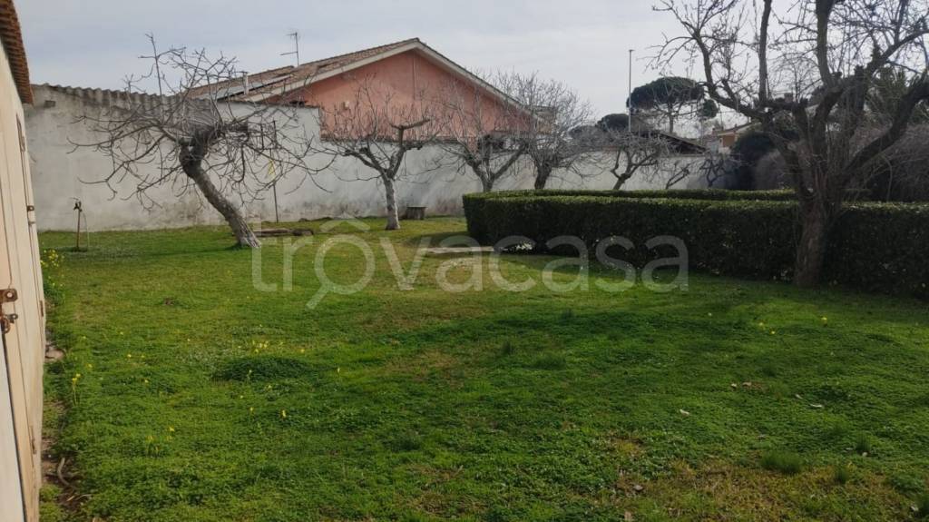casa indipendente in vendita ad Ardea in zona Nuova California