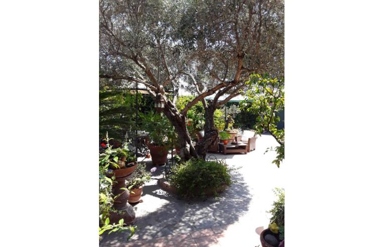casa indipendente in vendita ad Ardea in zona Nuova California