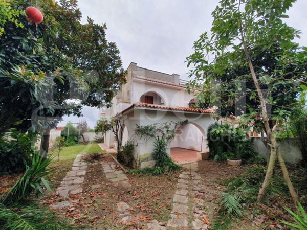 immagine annuncio 0 di 15