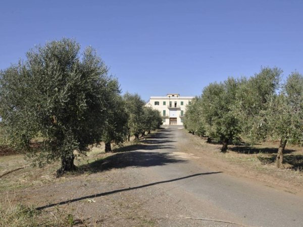 casa indipendente in vendita ad Ardea in zona Montagnano