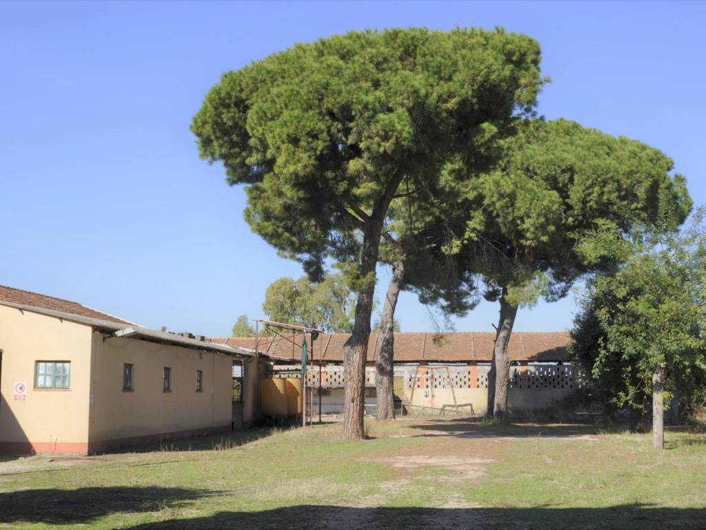 casa indipendente in vendita ad Ardea in zona Castagnetta