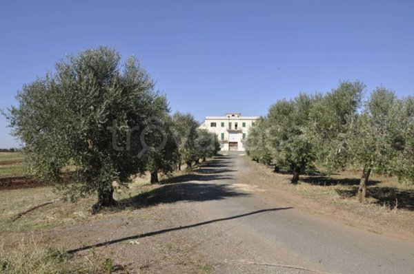casa indipendente in vendita ad Ardea in zona Montagnano