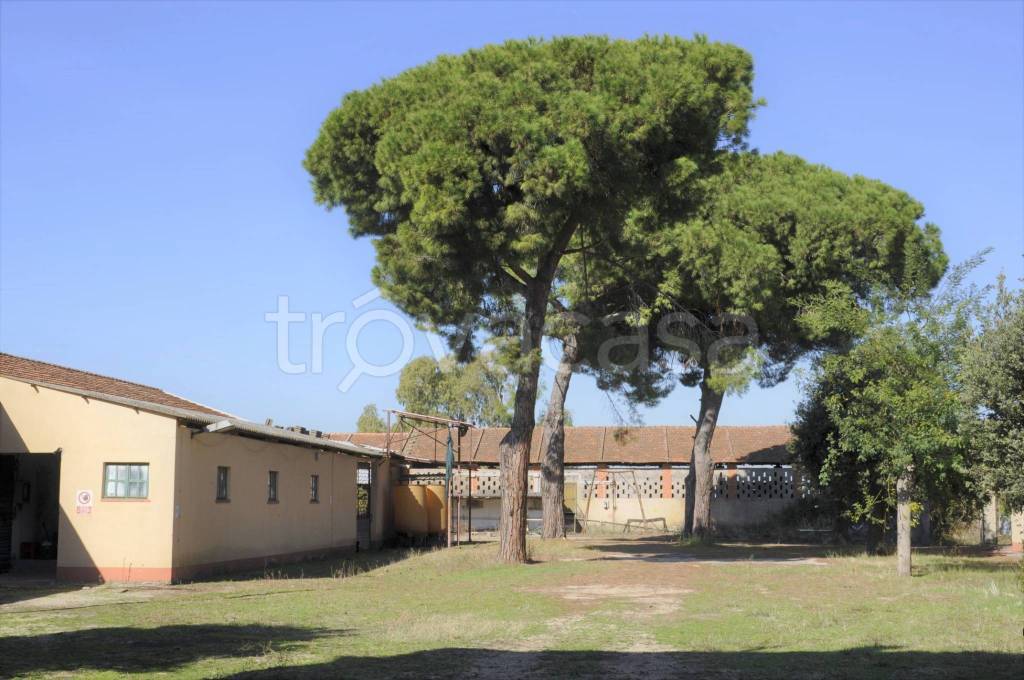 casa indipendente in vendita ad Ardea in zona Montagnano