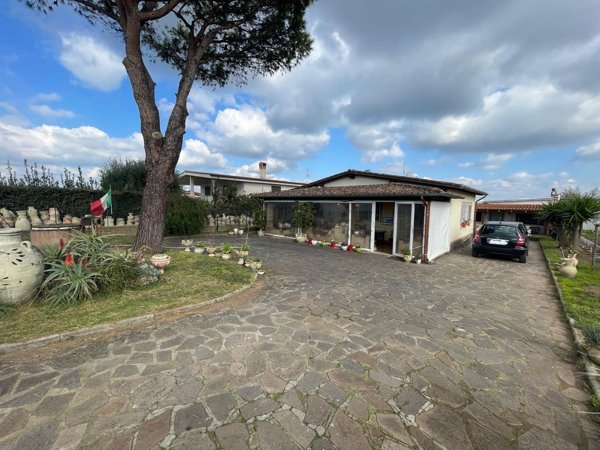 esavano in vendita ad Ardea