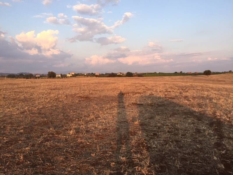 terreno agricolo in vendita ad Ardea