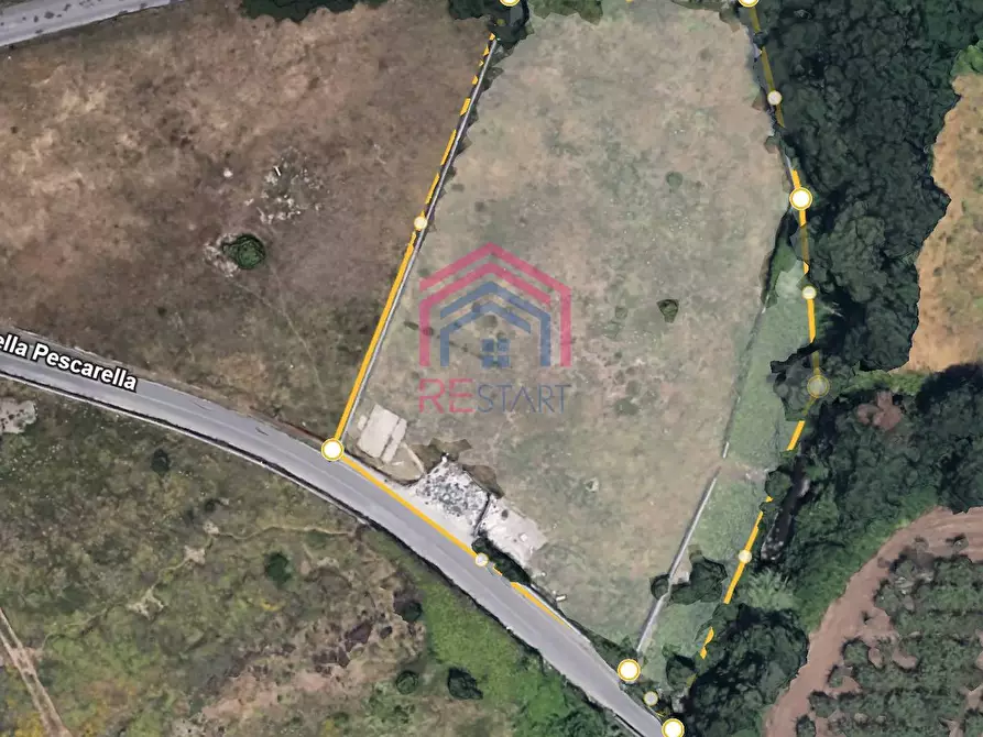 terreno agricolo in vendita ad Ardea