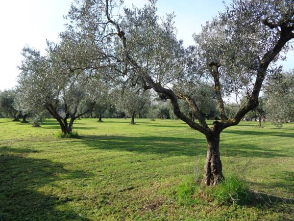 negozio in vendita ad Ardea in zona Castagnetta