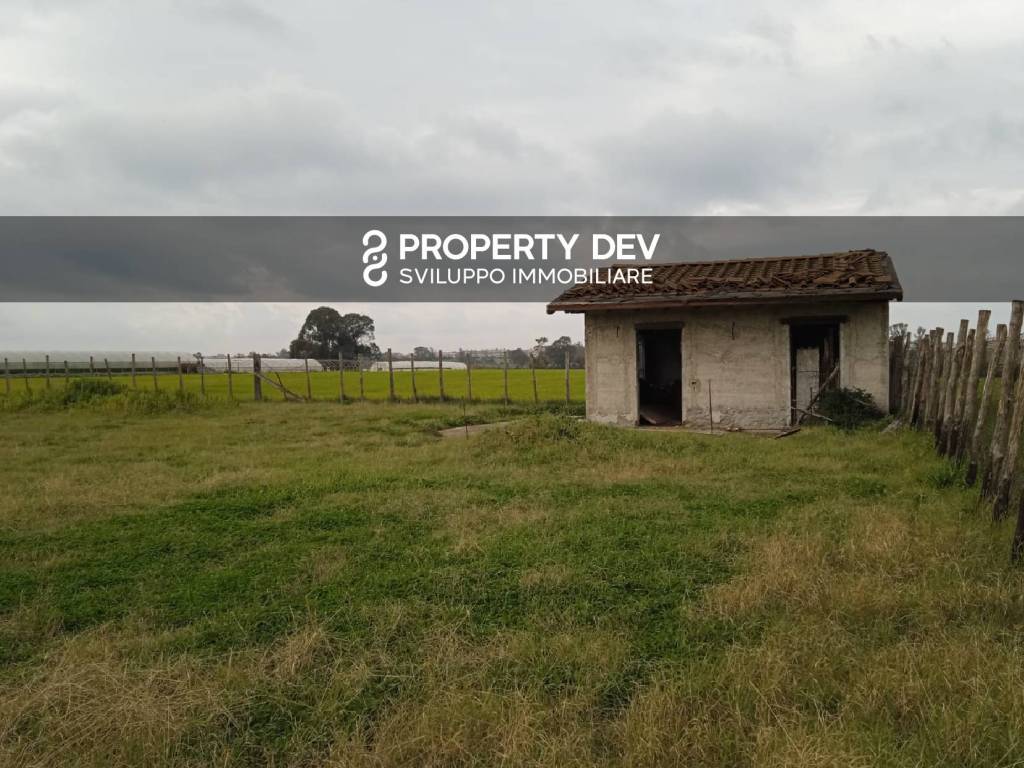 casa indipendente in vendita ad Ardea in zona Nuova Florida