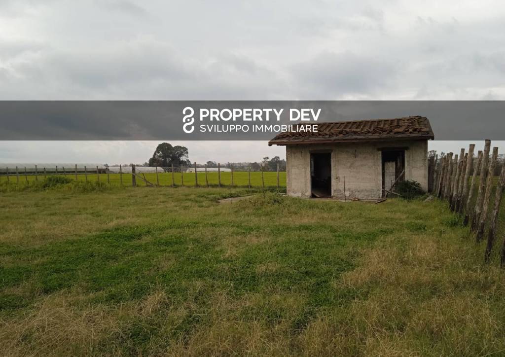 casa indipendente in vendita ad Ardea in zona Nuova Florida