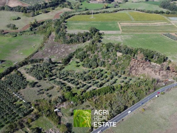 terreno agricolo in vendita ad Ardea in zona Nuova Florida