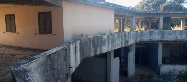 terreno agricolo in vendita ad Ardea in zona Nuova Florida