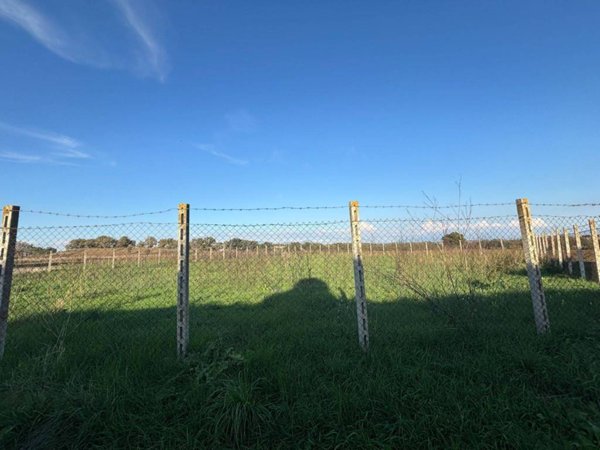 terreno agricolo in vendita ad Ardea in zona Nuova Florida