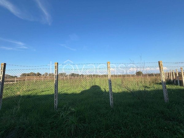 terreno agricolo in vendita ad Ardea
