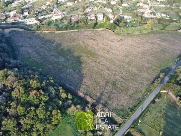 terreno agricolo in vendita ad Ardea in zona Castagnetta