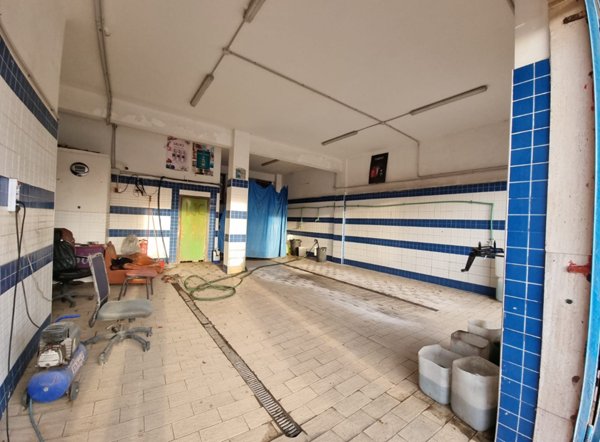 immagine annuncio 0 di 7