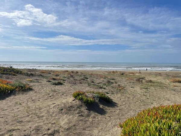appartamento in vendita ad Ardea in zona Marina di Ardea
