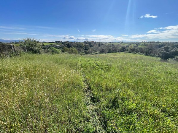 terreno agricolo in vendita ad Ardea