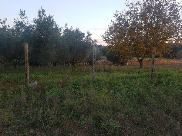 casale in vendita ad Ardea in zona Montagnano