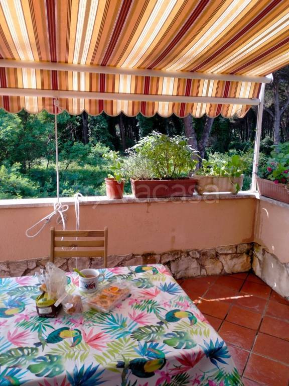 appartamento in vendita ad Ardea in zona Lido dei Pini