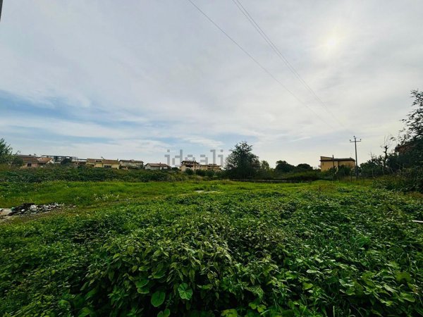 terreno agricolo in vendita ad Ardea