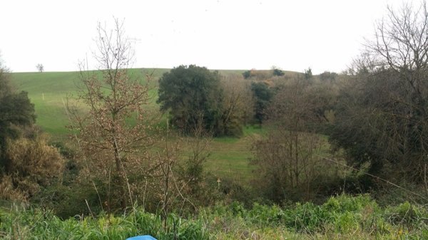 casa indipendente in vendita ad Ardea in zona Montagnano