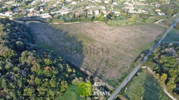 terreno agricolo in vendita ad Ardea