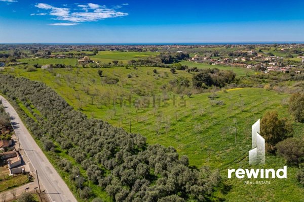 terreno agricolo in vendita ad Ardea