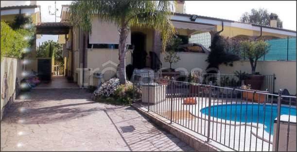 casa indipendente in vendita ad Ardea in zona Nuova Florida