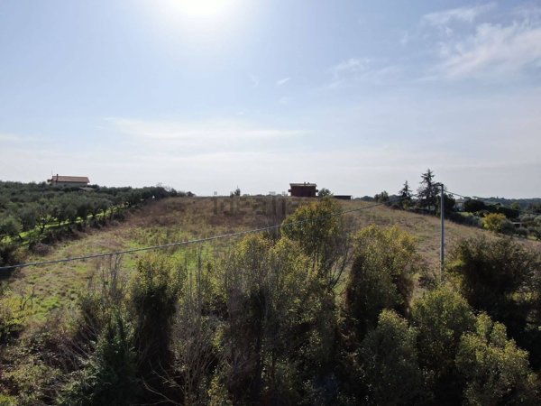 terreno agricolo in vendita ad Ardea