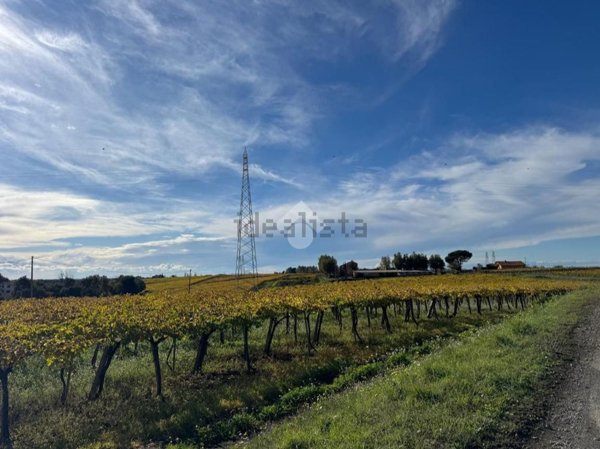 terreno industriale in vendita ad Ardea in zona Montagnano