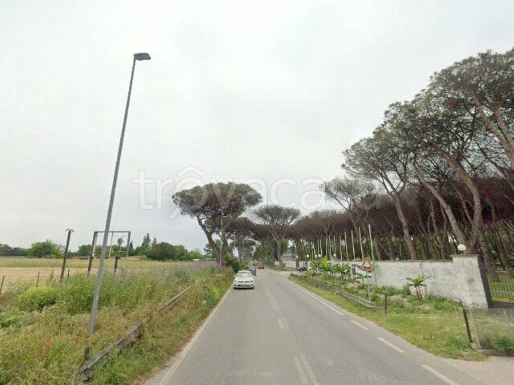 negozio in vendita ad Ardea