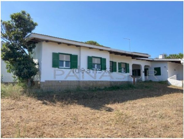 pentavano in vendita ad Ardea in zona Montagnano